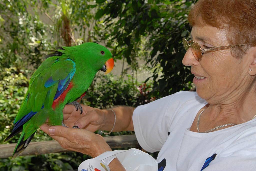0706 Birdworld Kuranda.jpg